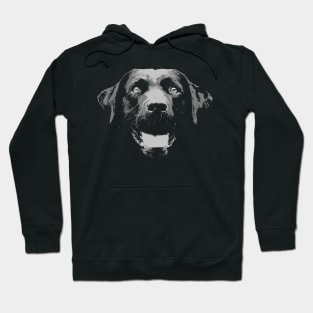 Black Labrador Hoodie